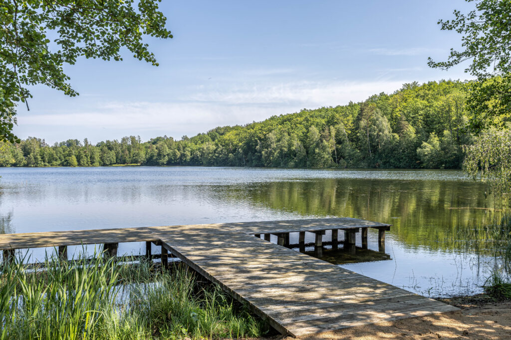 Jezioro moczydło w Sulęczynie