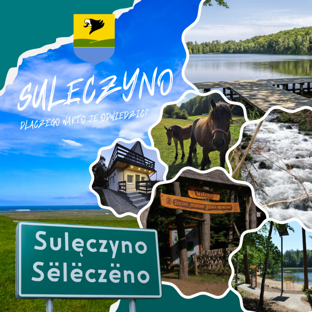 Sulęczyno – spokojna część Kaszub, w której natura gra pierwszą rolę